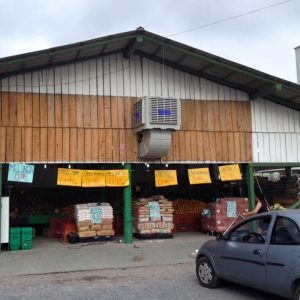 galeria (10)